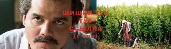 СК Инсар
