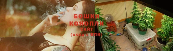 СК Инсар