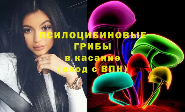 СК Инсар